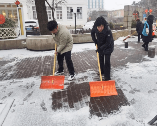 图片 12.png 图片 12.png