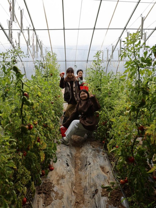 图片 3.jpg 图片 3.jpg