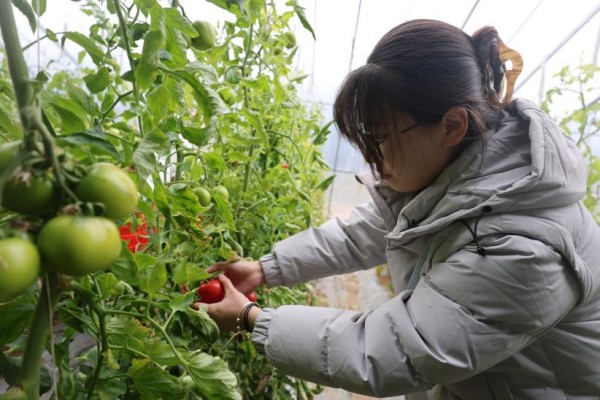 图片 2.jpg 图片 2.jpg