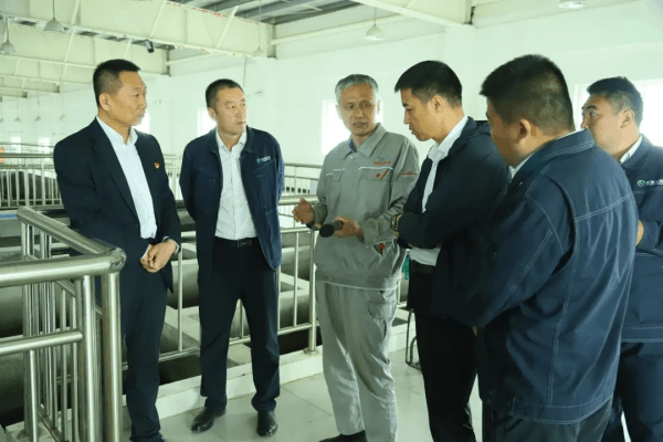 2023-11-15T12:43:34.png 2023-11-15T12:43:34.png