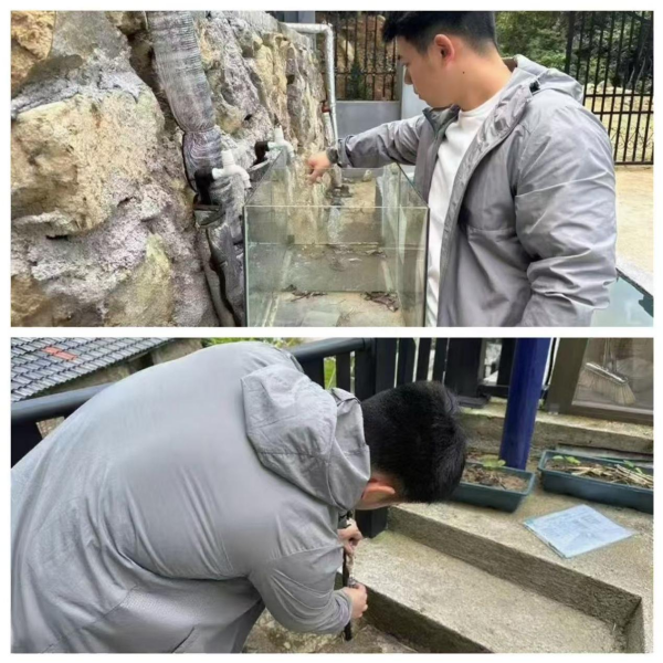 图片 2.png