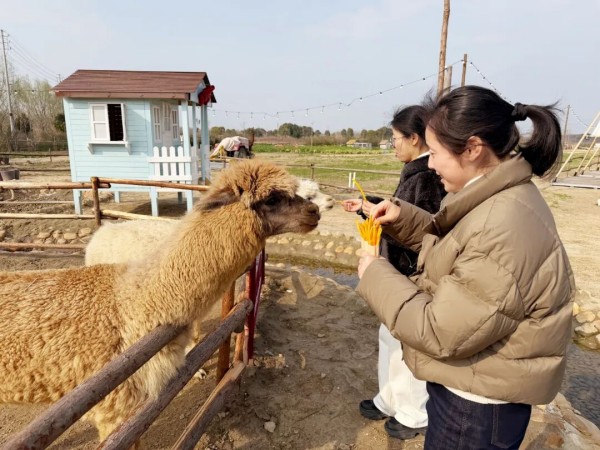 图片 4.jpg